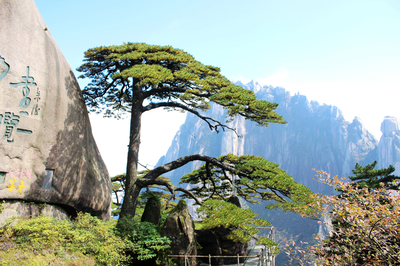 黄山推出九项奖励措施 鼓励旅行社招徕入境游客